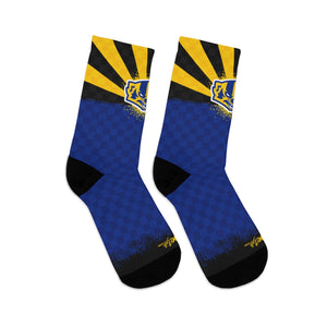 AZ Prescott PHS Badgers 3/4 MTB Socks